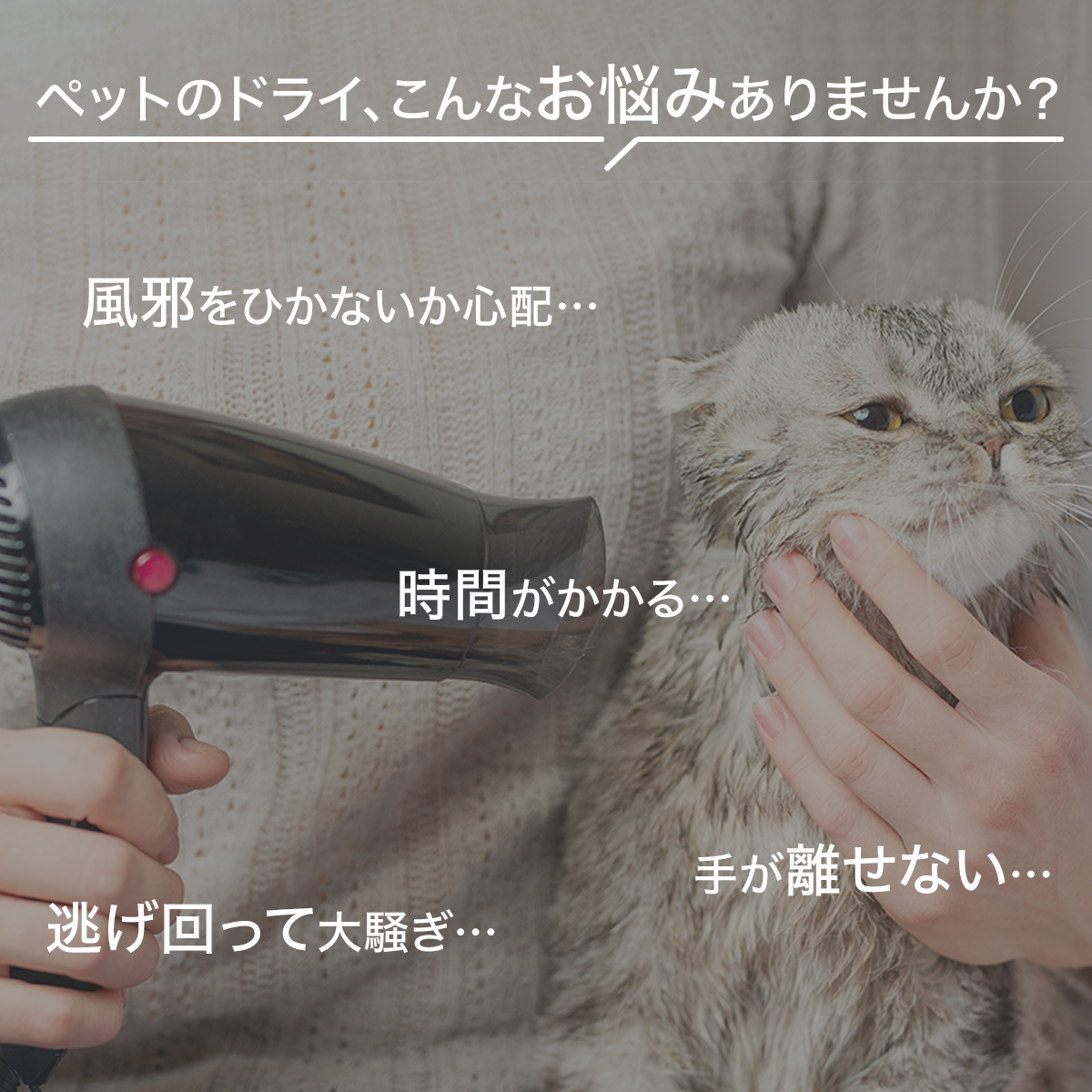PET MARVEL 公式 ドライヤーハウス H4 ドライルーム ドライヤーボックス 速乾 すぐ乾く 温度調整可能 自動で乾燥 ペットマーベル 1年保証 送料無料 永久アフターサービス