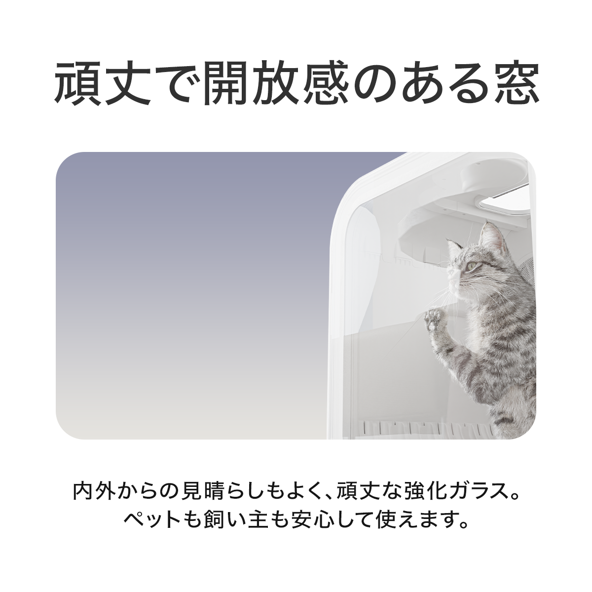 \20%OFF/PET MARVEL 公式 ドライヤーハウス H4 【ペットグッズ3個付き】 ドライルーム ドライヤーボックス 速乾 すぐ乾く 温度調整可能 自動で乾燥 ペットマーベル 1年保証 送料無料 永久アフターサービス