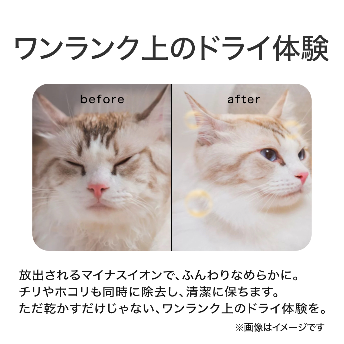 PET MARVEL 公式 ドライヤーハウス H4 ドライルーム ドライヤーボックス 速乾 すぐ乾く 温度調整可能 自動で乾燥 ペットマーベル 1年保証 送料無料 永久アフターサービス