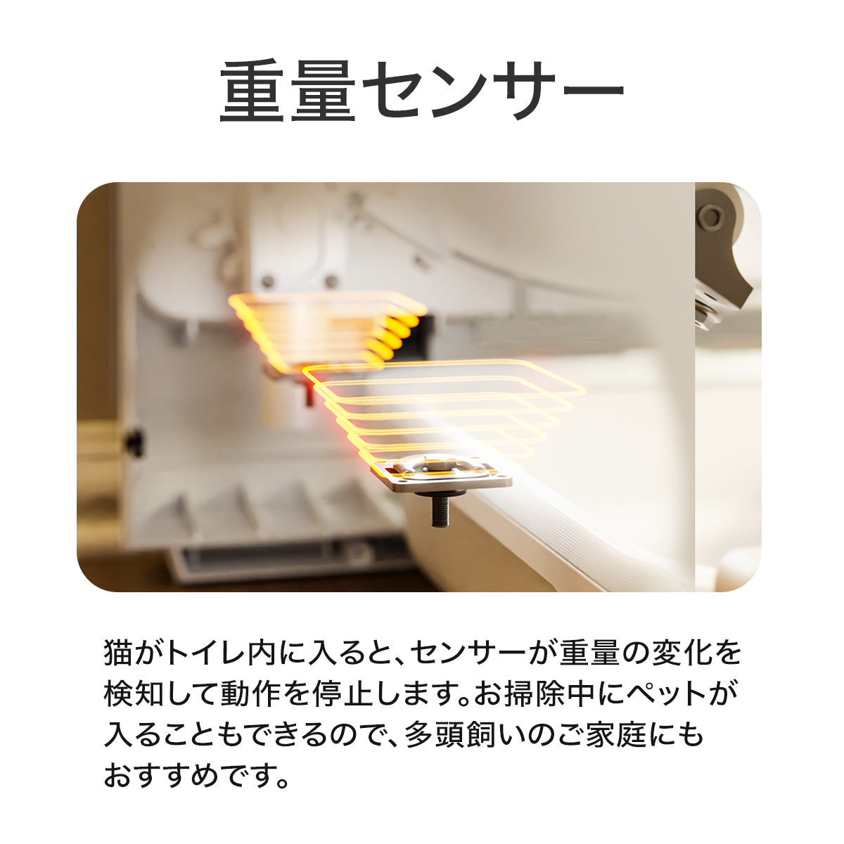 PET MARVEL 公式 自動トイレ Magic Cube マジックキューブ 自動猫用トイレ 猫トイレ 自動 アプリ 自動清掃 1年保証 送料無料 永久アフターサービス