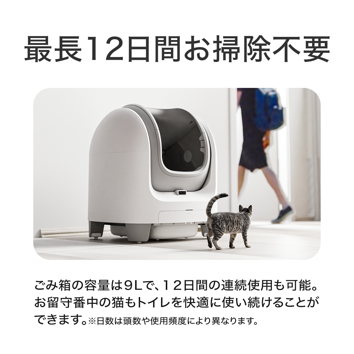 PET MARVEL 公式 自動トイレ C1 自動猫用トイレ 猫トイレ 自動